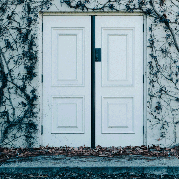 Soundproof Swing Door